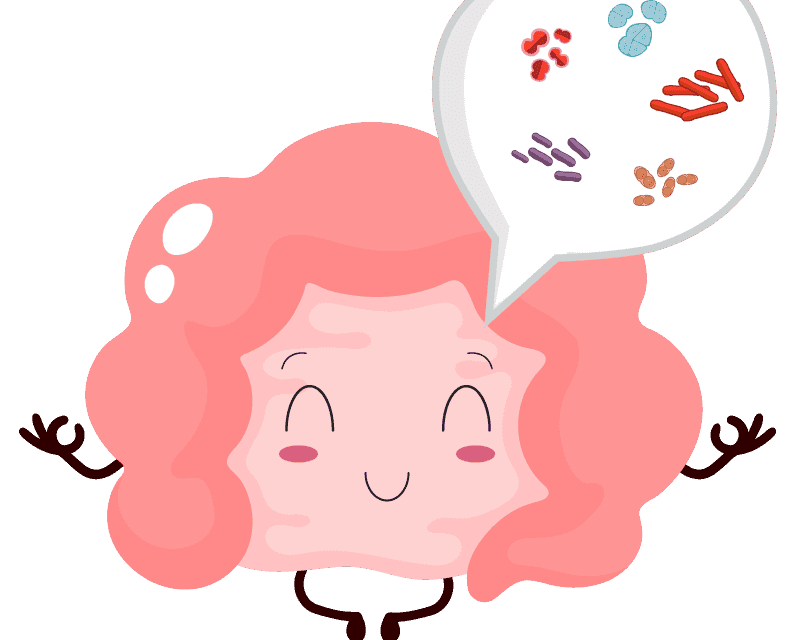 Imagem sem descrição Imagem sem descrição