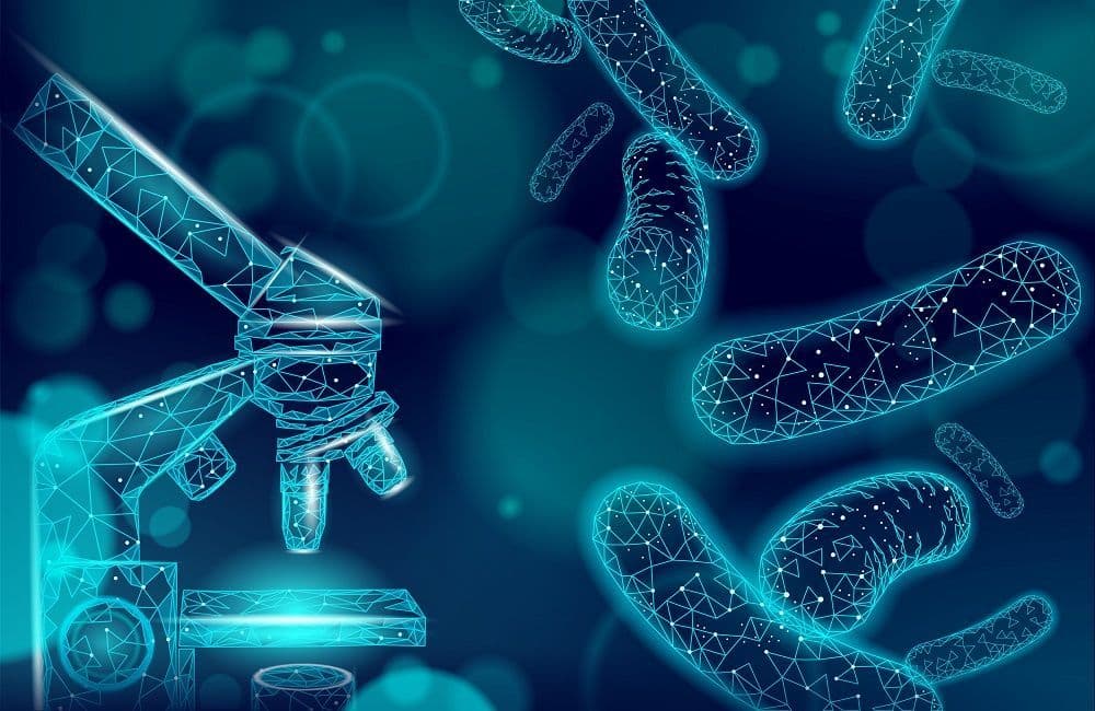 Imagem sem descrição Imagem sem descrição